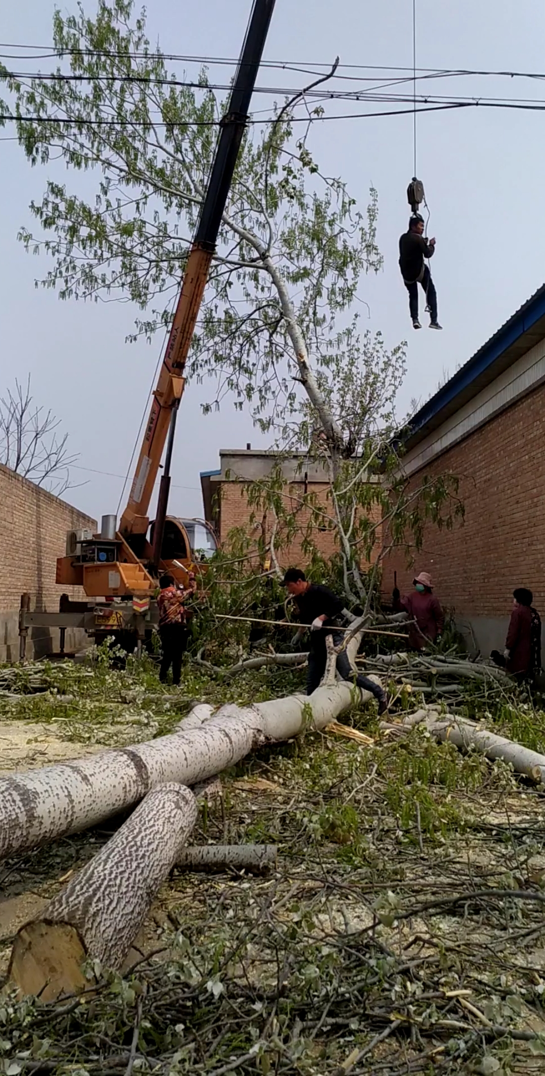 这是高手#吊车吊人,看看要干什么