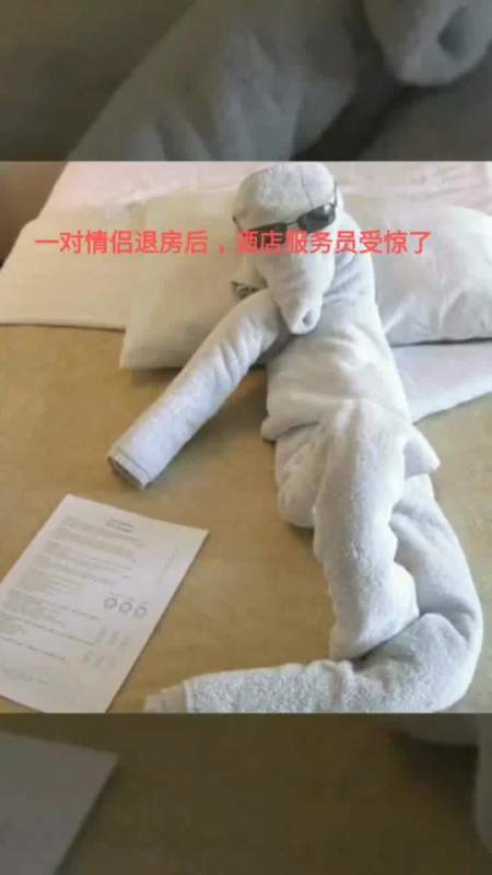 搞笑段子#一对情侣退房后,服务员一进门就看懵了,这是什么造型?