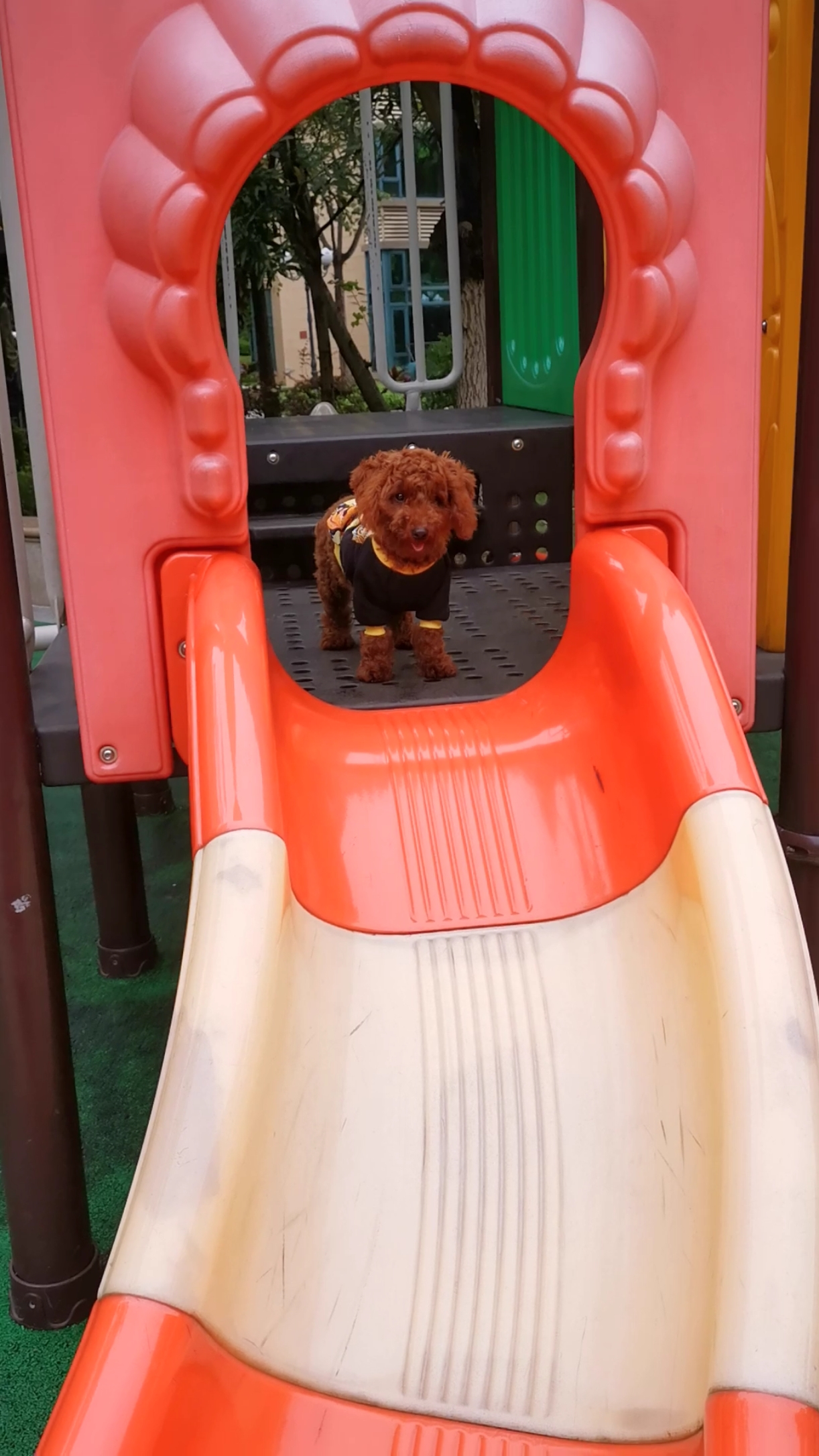 成精了,6个月的小迪迪,听懂妈妈的鼓励.