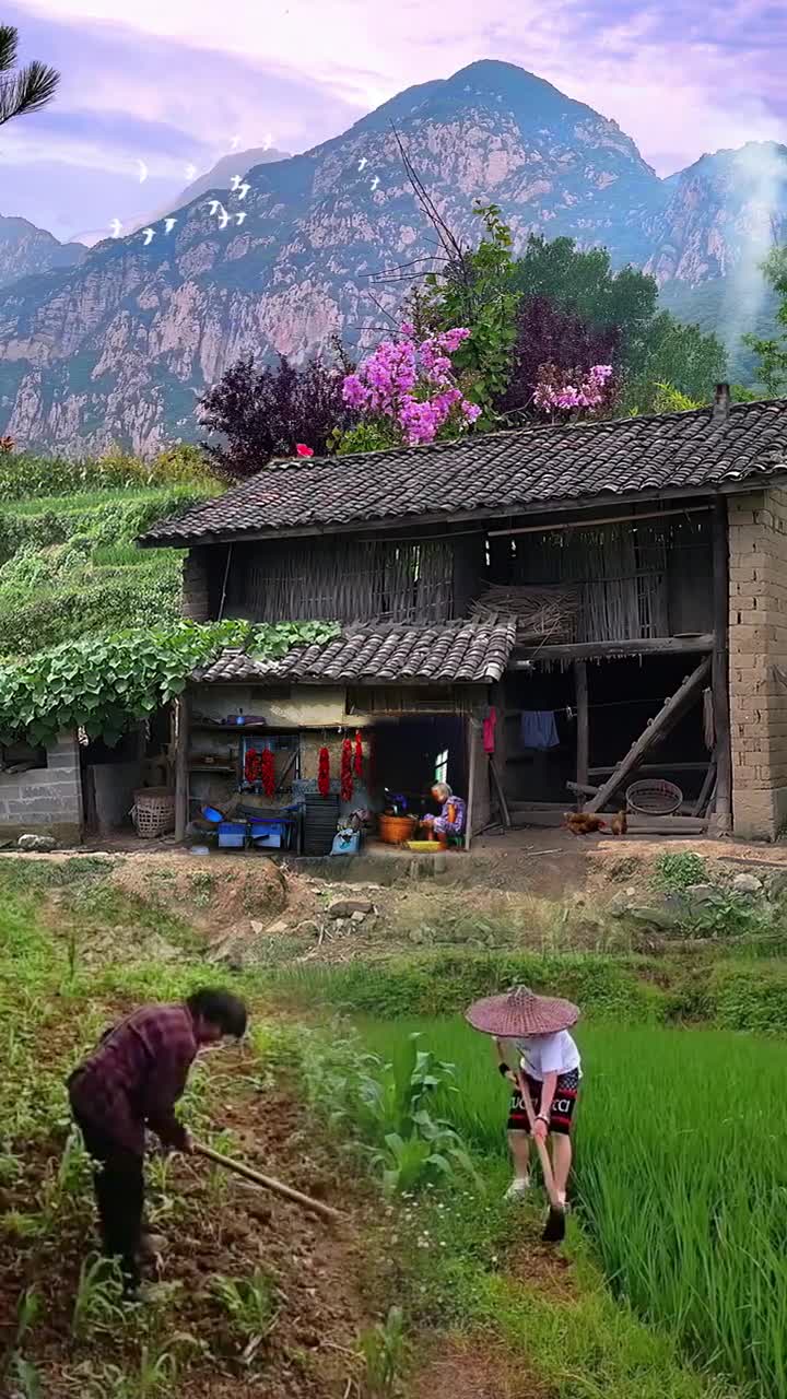 農村山溝溝裡,86歲老奶奶年齡大了,小妹妹帶侄子幫忙種地,奶奶洗菜