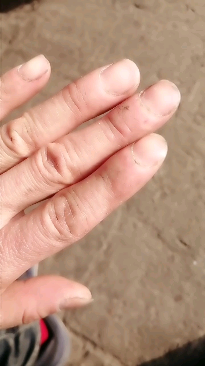 全民小助手 农民工的手