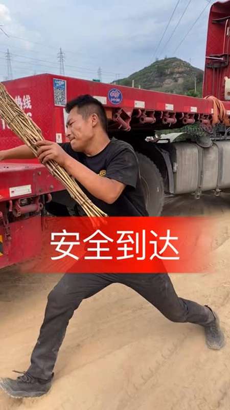 多流汗水莫流泪付出终会有回报24组合安全到达目的地太原古交 创作者