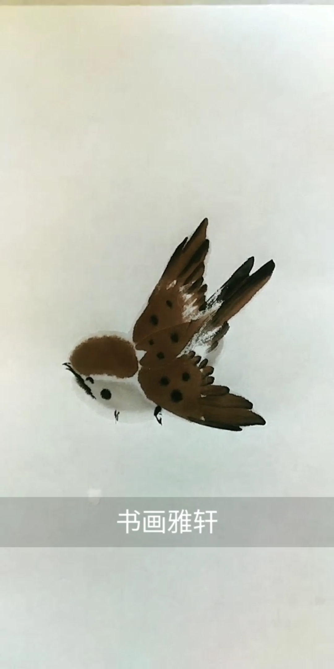 中国画#画麻雀的笔法展示,快来一起画吧!