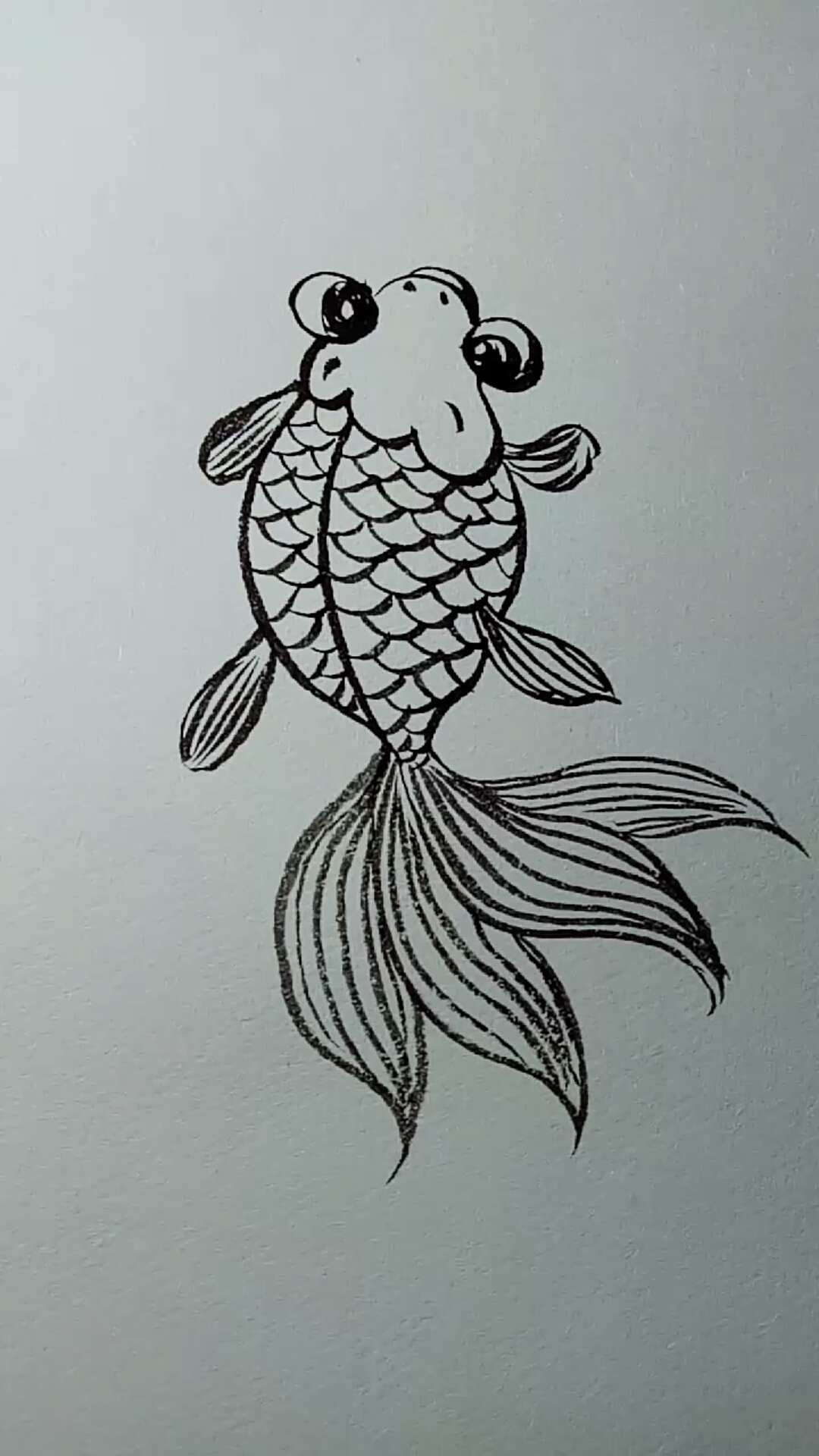 一看就會的白描畫#金魚白描畫法過程,很簡單好學哦!