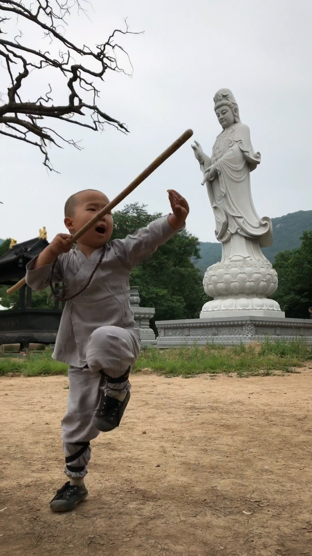 少林寺三岁小和尚 的功夫厉害吗