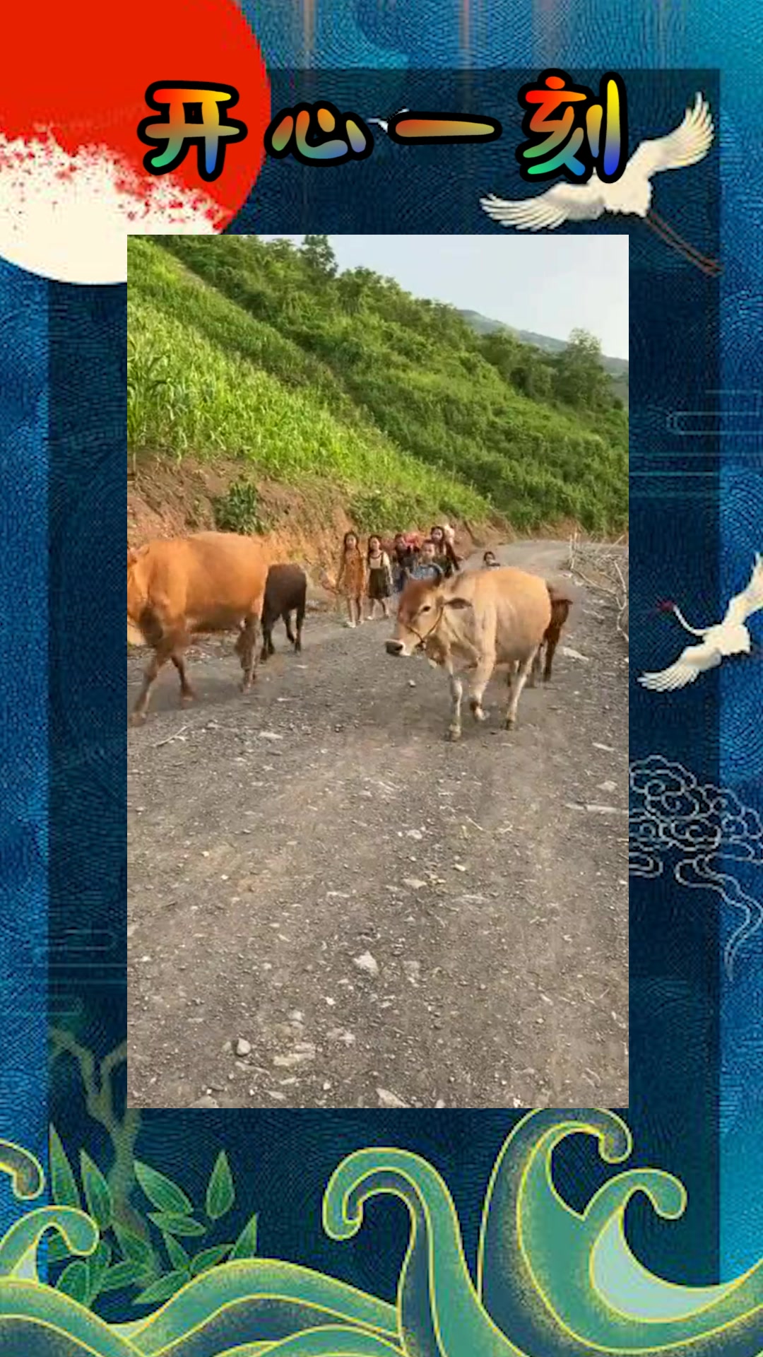 我要上热门#最朴实的大山生活,一群孩子放牛归来,生活简单又惬意!