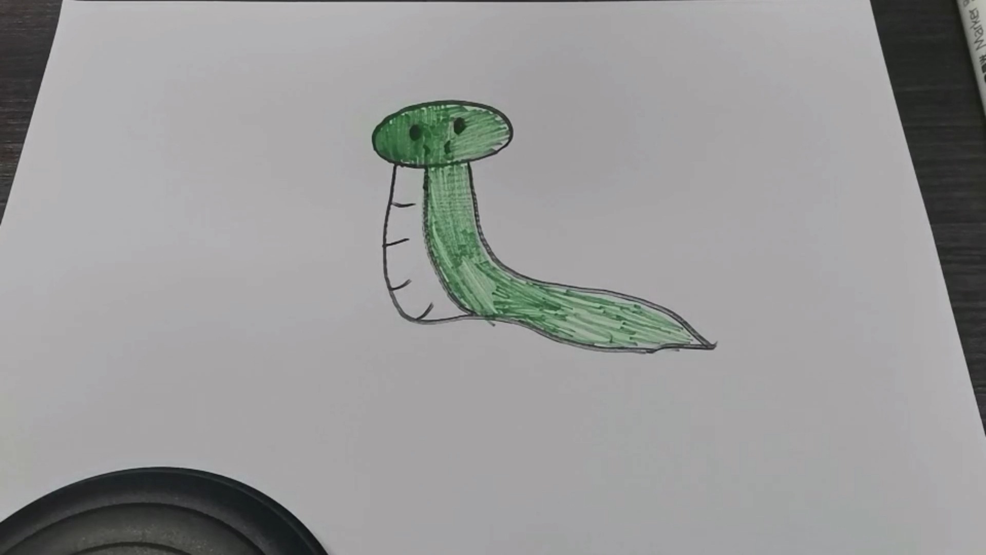 小蛇的画法,如何画小蛇,快来学习吧!