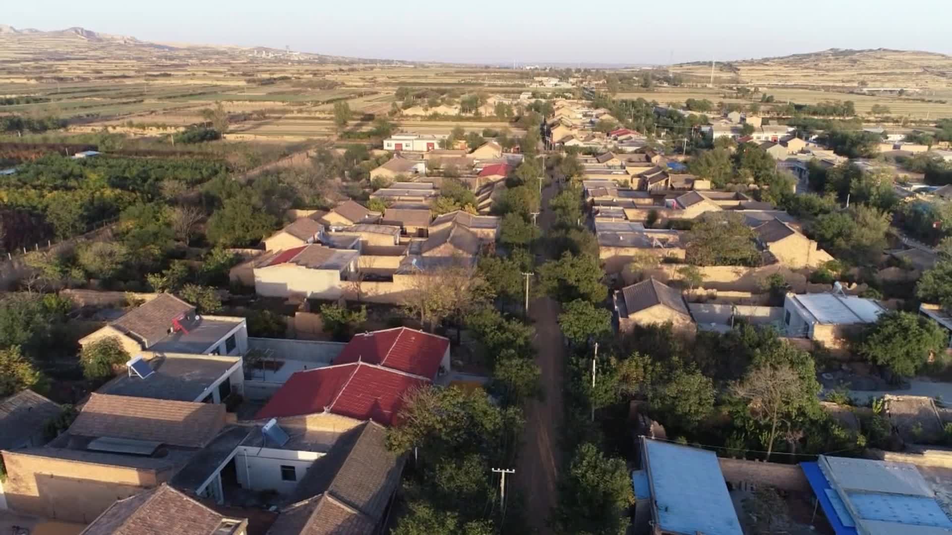 三槐并茂:航拍渭南市蒲城县山西村堡址