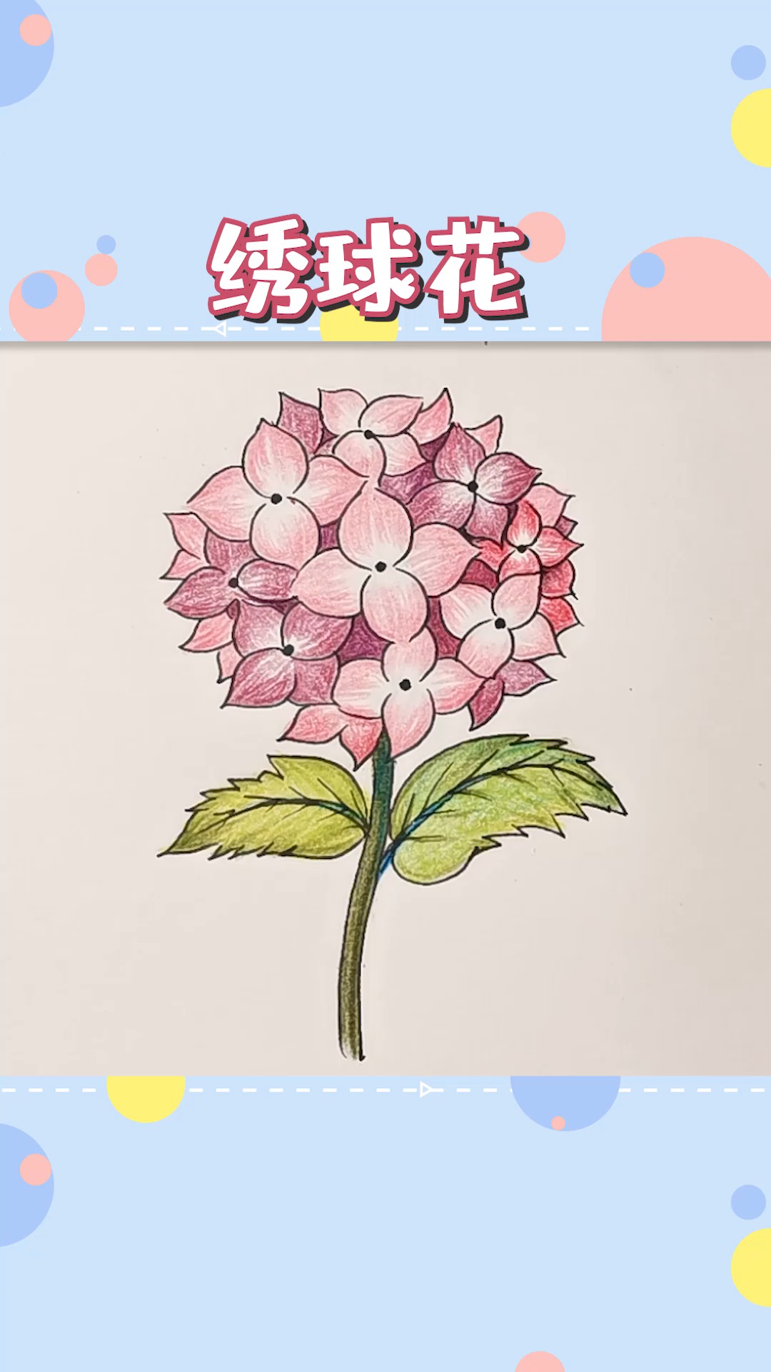 绘画#用最简单的方法,画超美的绣球花
