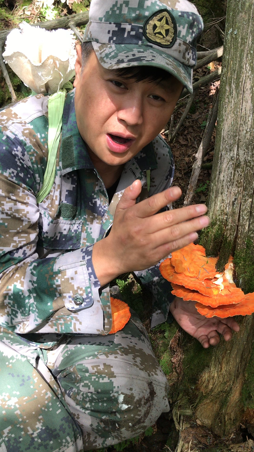 鸡冠蘑,你吃过吗