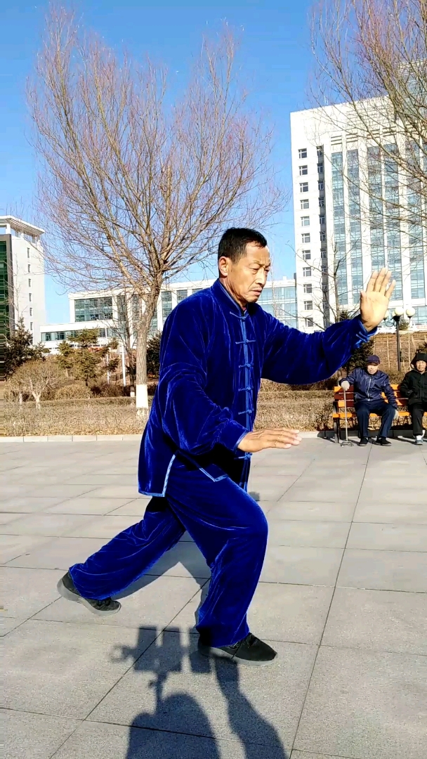 吴式,83式太极拳
