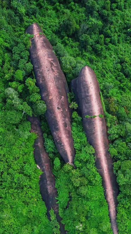 我要上热门#隐藏在森林深处的"巨鲸",泰国国家森林保护区的"三鲸岩"