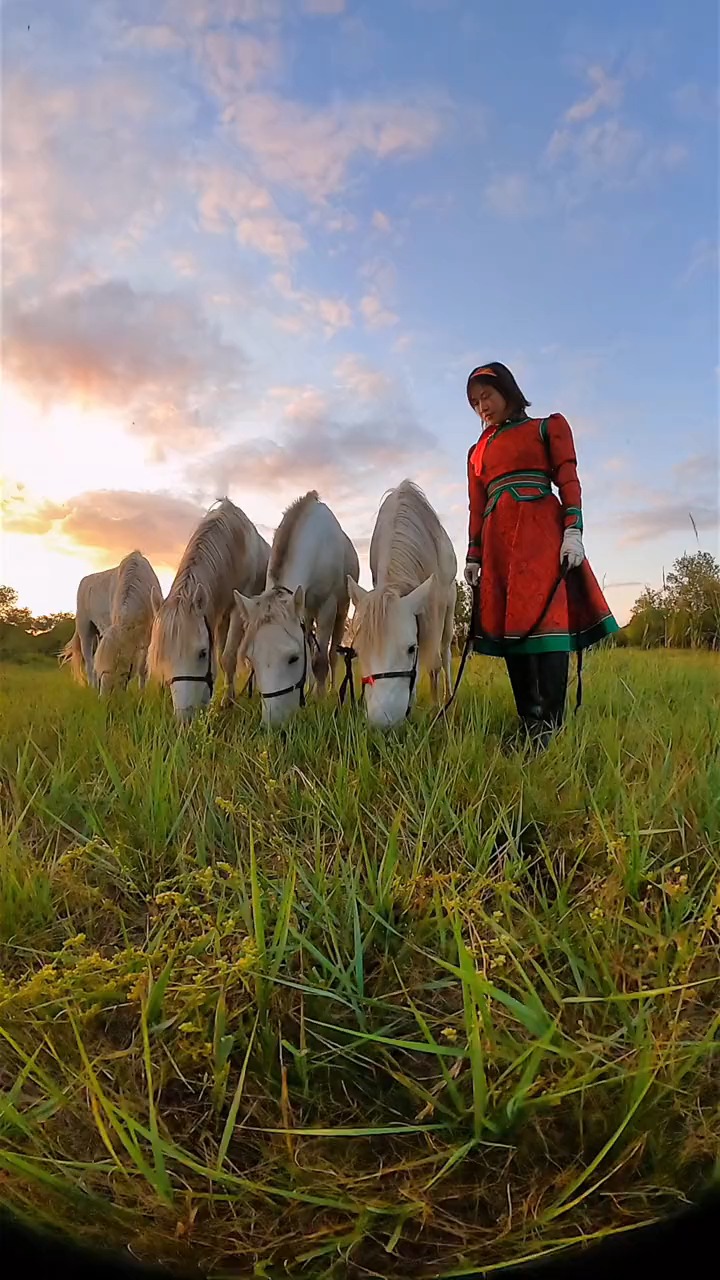 家有白马三五匹,策马奔腾,马背上的民族