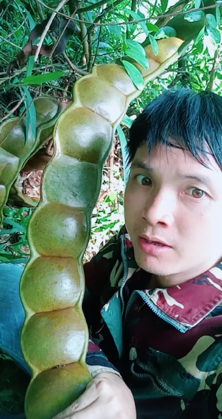 深山里面发现的巨型豆角.
