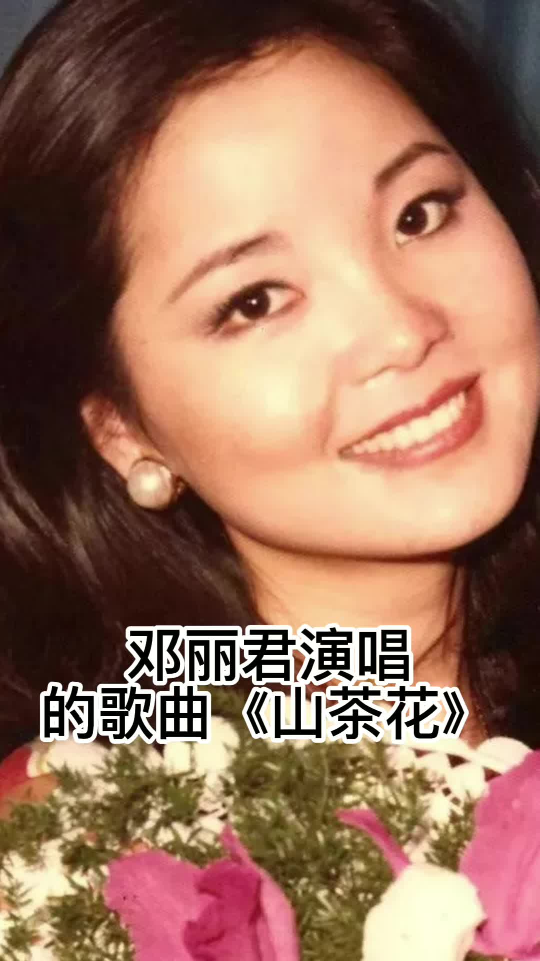 邓丽君演唱的歌曲山茶花