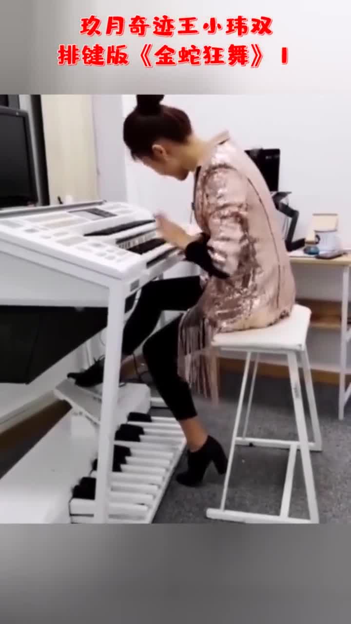 玖月奇迹王小玮双排键版金蛇狂舞1