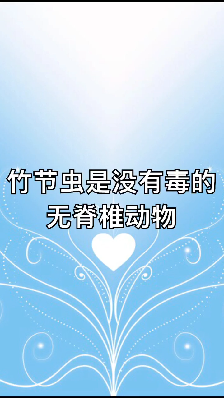我来告诉你,为什么竹节虫能咬死人?