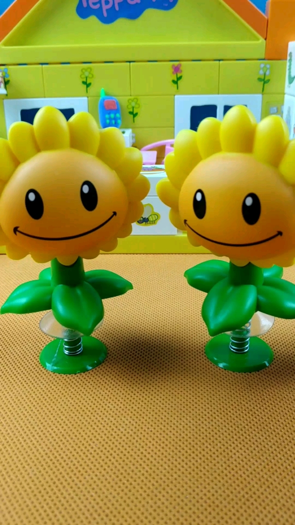 向日葵双胞胎哦⊙⊙!