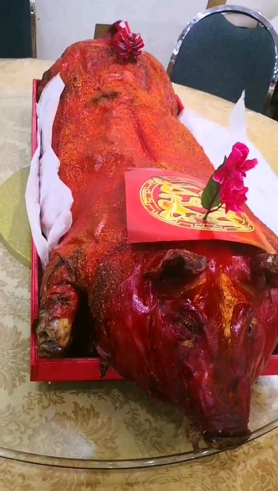 恭喜发财!新加坡拜天公专用大金猪