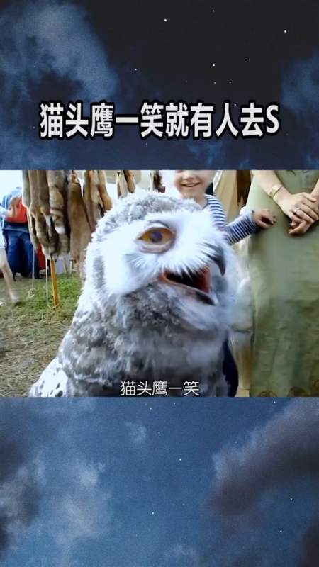 全民涨知识#猫头鹰一笑为什么说y示着有人去s-度小视