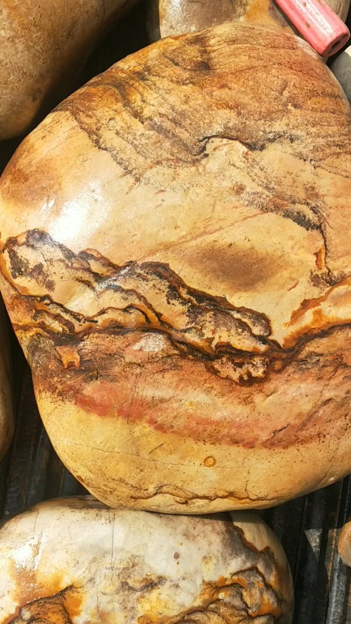 精品长江碳化石