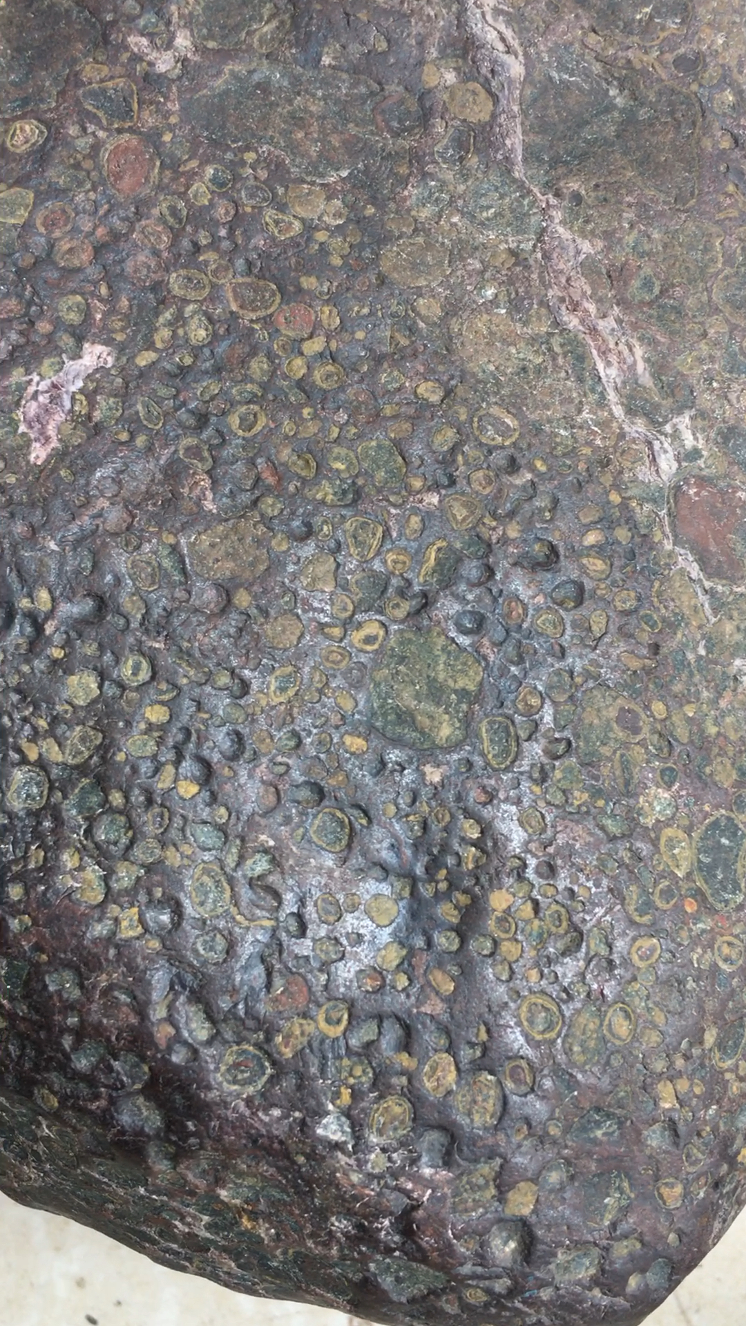 这颗球粒陨石细金属网状结构!重6.5公斤!弱磁