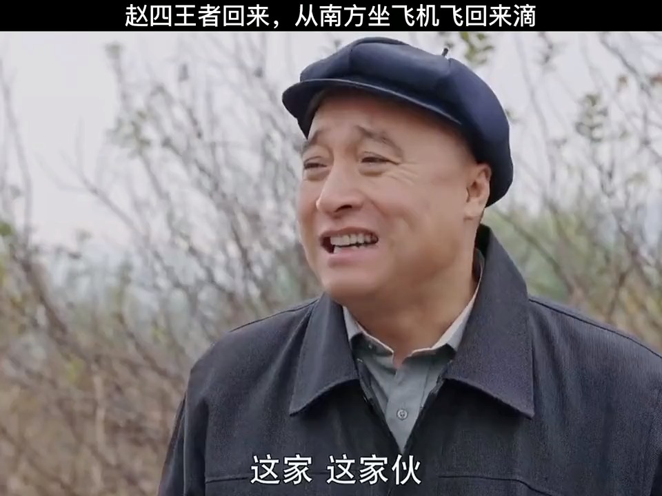 搞笑影视#乡村爱情:赵四王者归来,从南方坐飞机回来滴