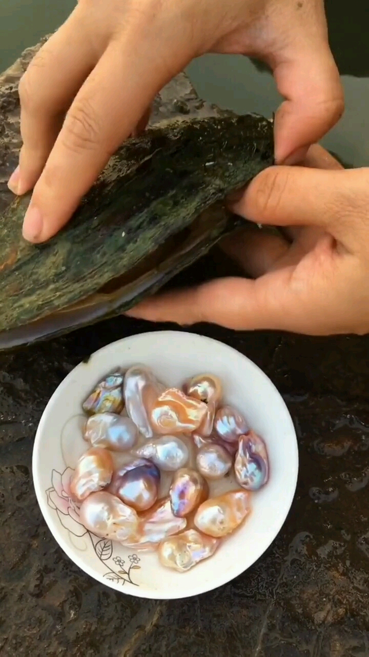 看看我们这个珍珠蚌开出来的珍珠漂亮吧!