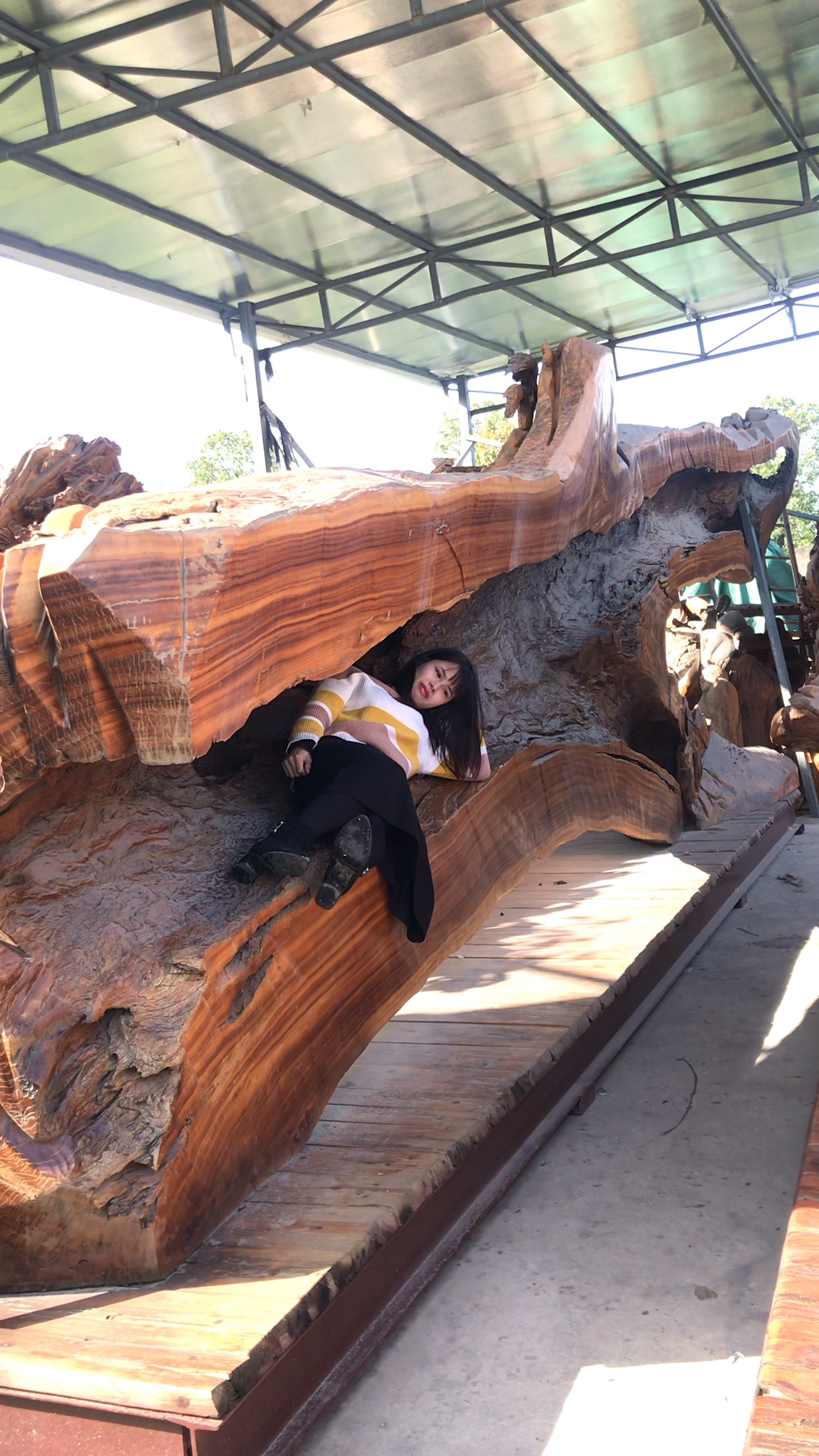 睡了五年的树床生活