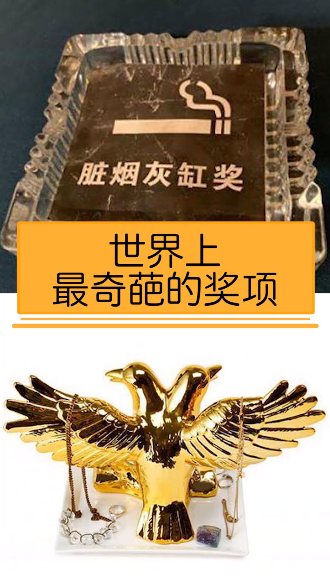 我要上热门#世界上最奇葩的奖项