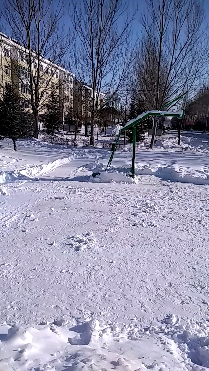 8510农场广场冬季景色2019年第二场大雪