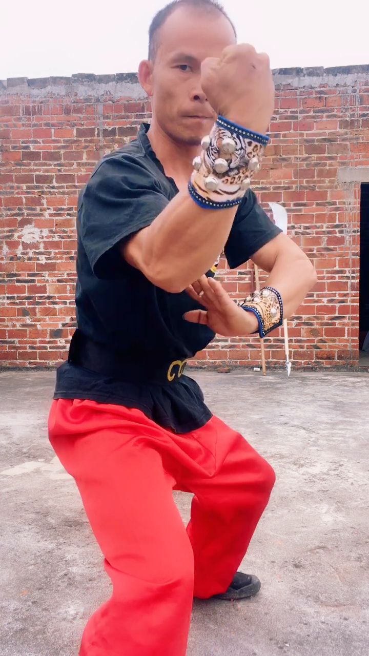 中华功夫#洪拳系统之(四平天地拳)南少林至善禅师传下至今以有300多