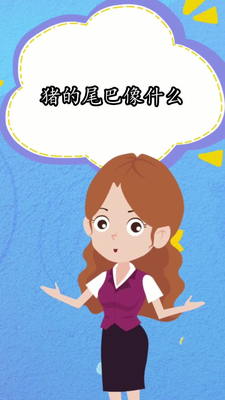 猪的尾巴像什么你知道了吗