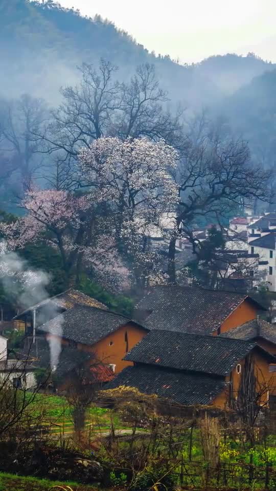 小村落的唯美图片图片