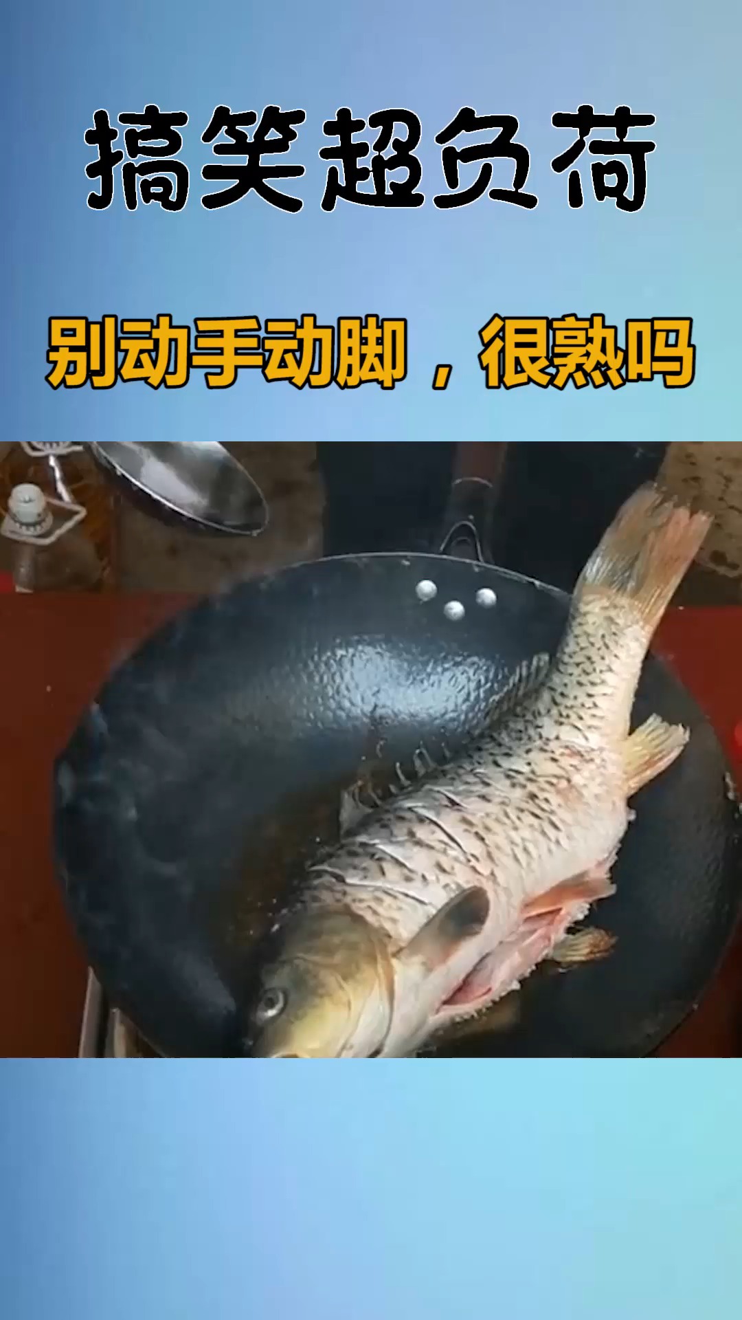 搞笑萌宠#别动手动脚,很熟吗