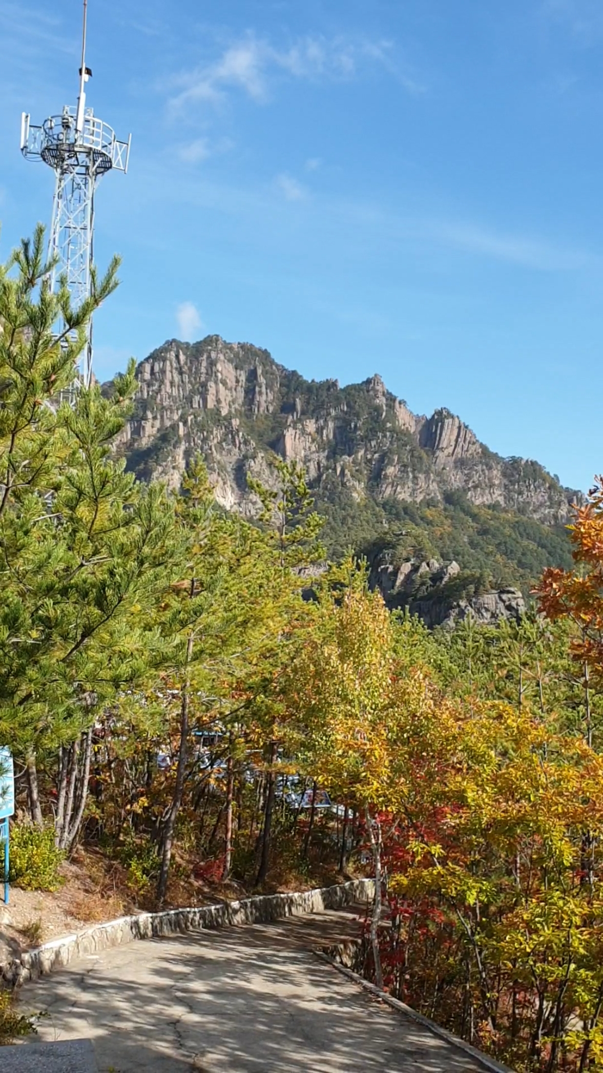 秋游#七宝山风景