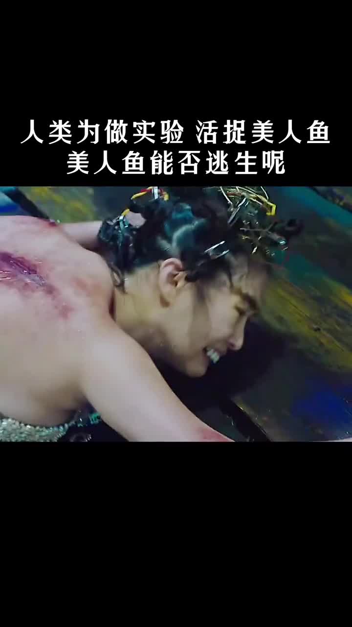 人类的欲望是无止境的人鱼世界的悲哀