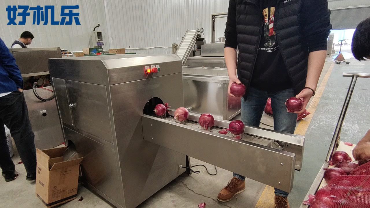 切根机-洋葱/大蒜切根机,精准度高,快速切根,适合大批量切根加工