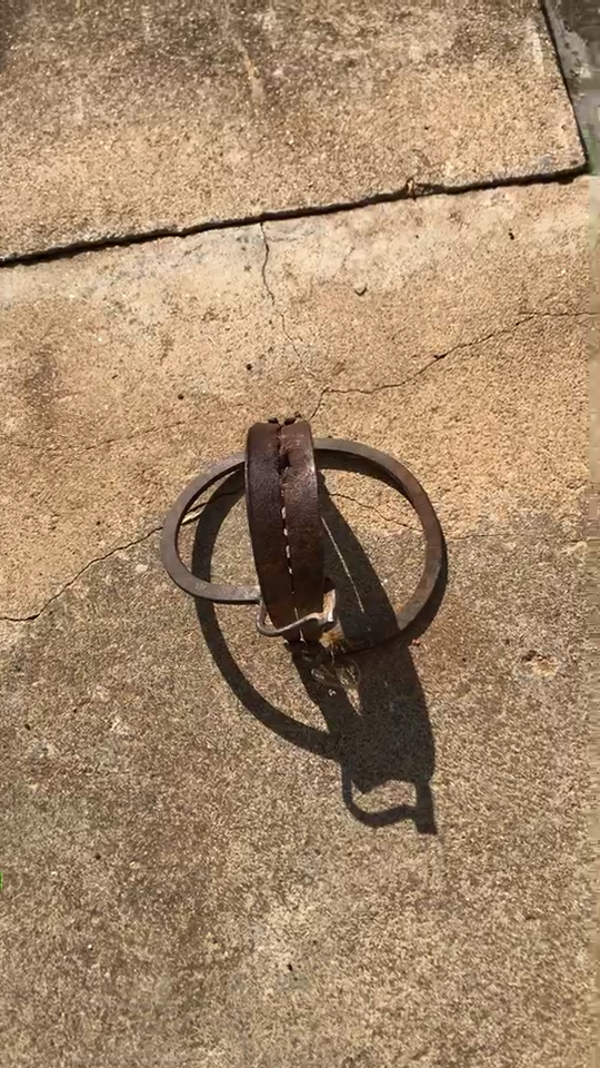 可恨的偷狗工具