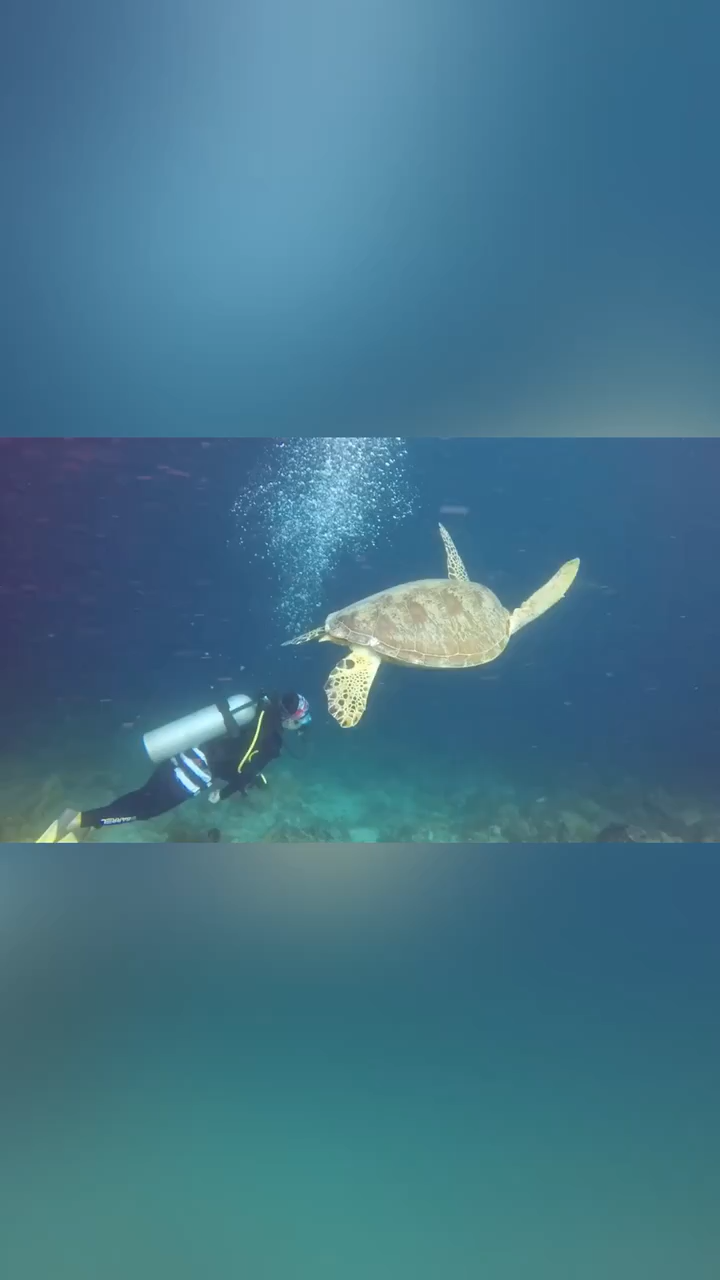 亲亲鱼越咬你的脚说明什么