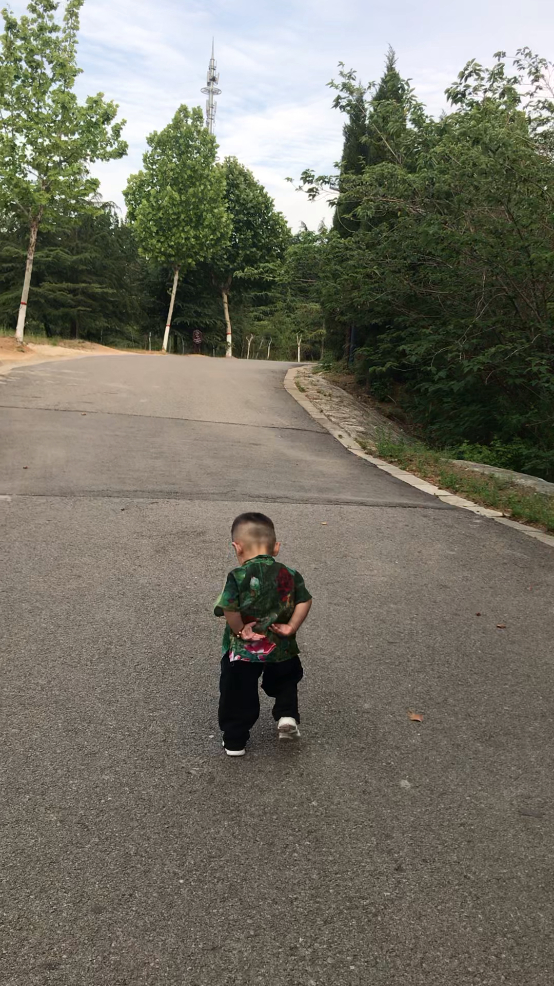 赵本山的真传,背着手走路