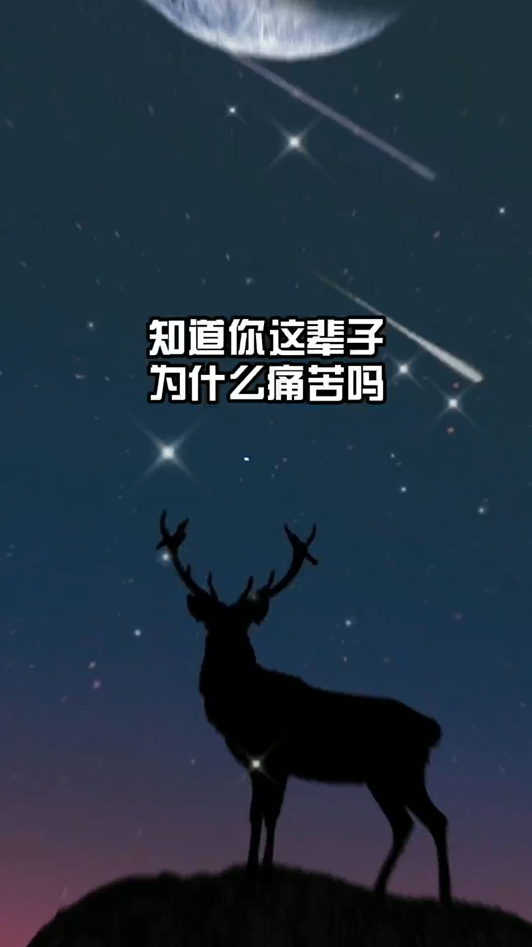 人生感悟#知道你这辈子为什么痛苦吗#人生感悟