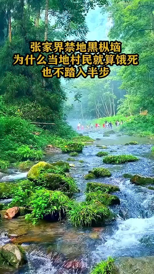 黑枞垴图片