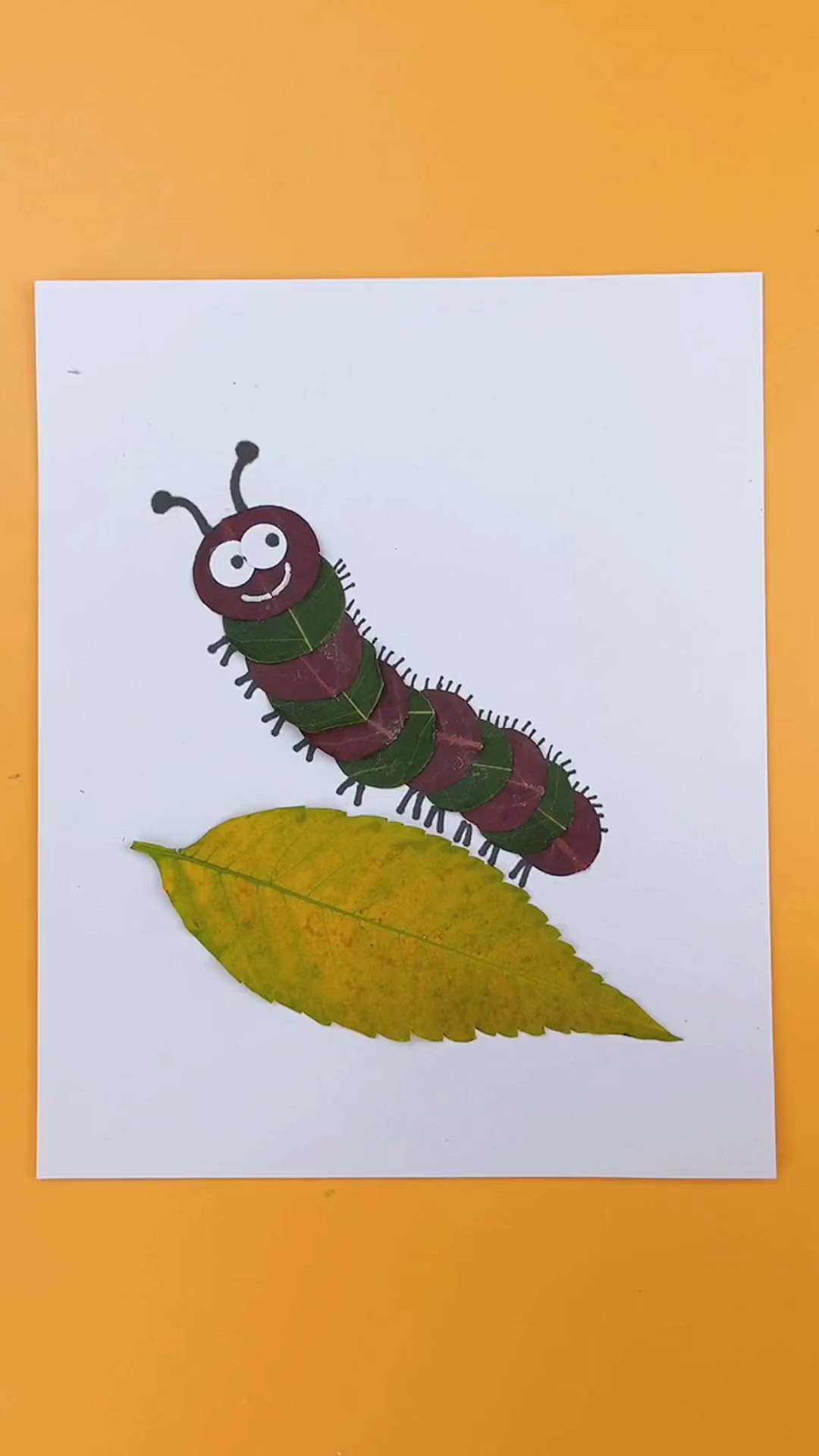 幼儿园树叶贴画昆虫图片