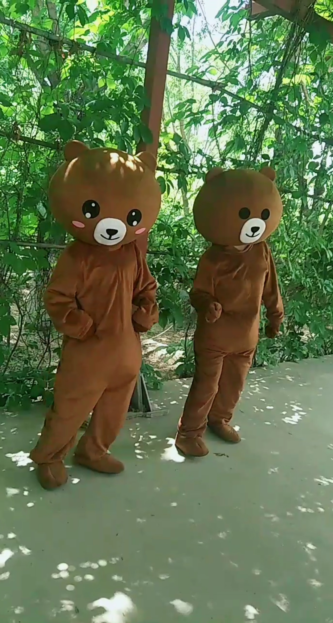 两只小熊熊在跳舞,跳的好嗨皮呀!-度小视