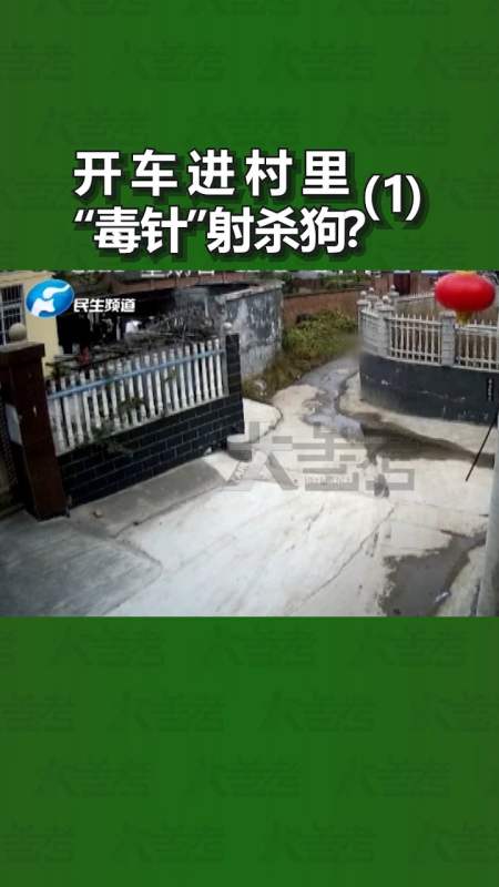 河南新乡偷狗贼开车进村用毒针射杀狗狗监控记录全过程