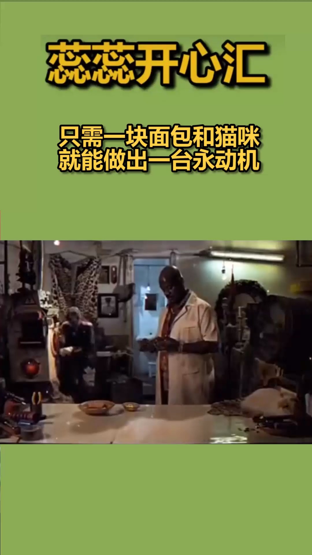 我要上热门#只需一块面包和猫咪,就能做出一台永动机