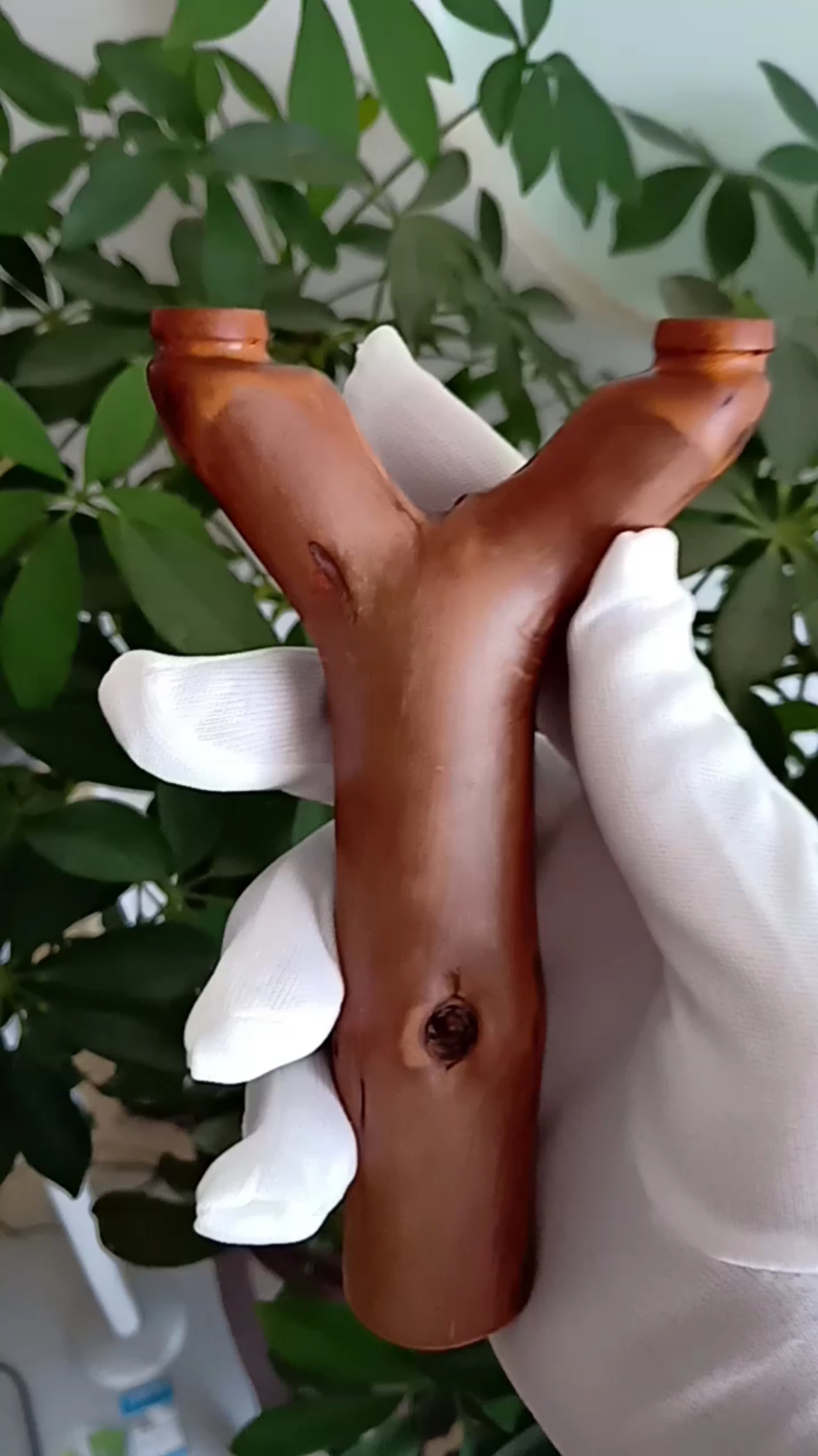 老杈子随型,老得劲了