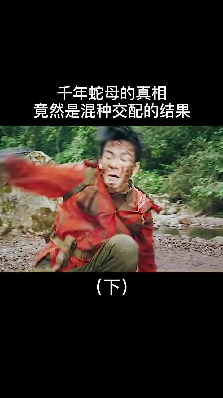 千年蛇母的真相,竟然是因为这样的结果