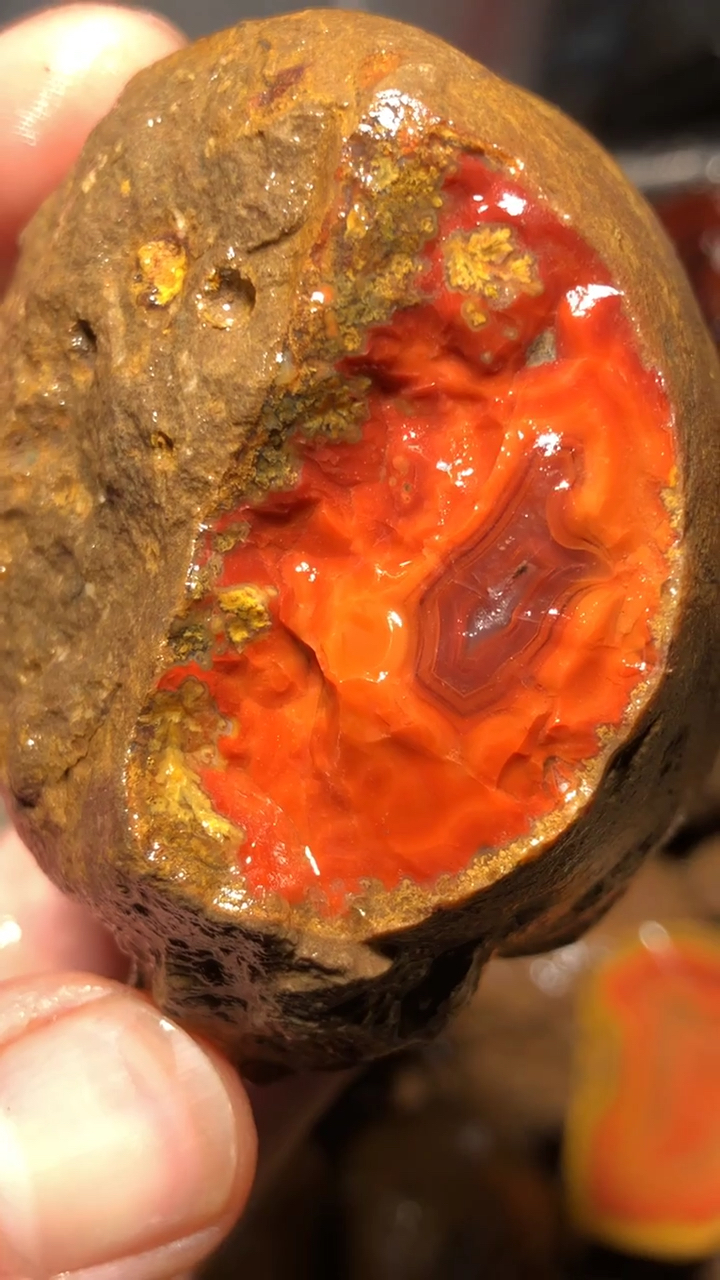 你有我好看吗#河北宣化战国红玛瑙